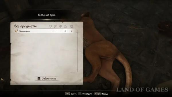 Все квесты Даэдра в The Elder Scrolls 4 Oblivion Remastered: как начать и получить артефакты